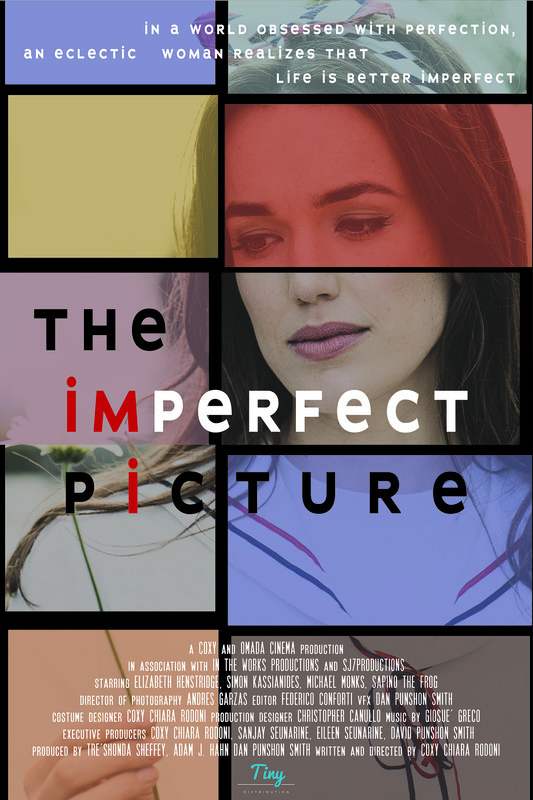 THE iMPERFECT PiCTURE